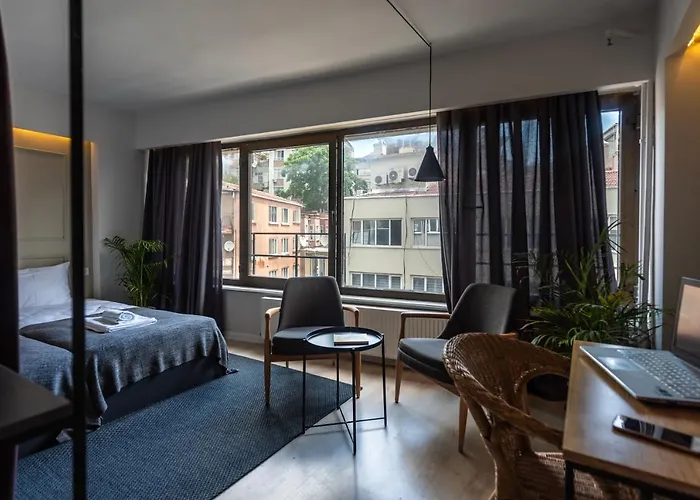 Intro Provincia di Istanbul